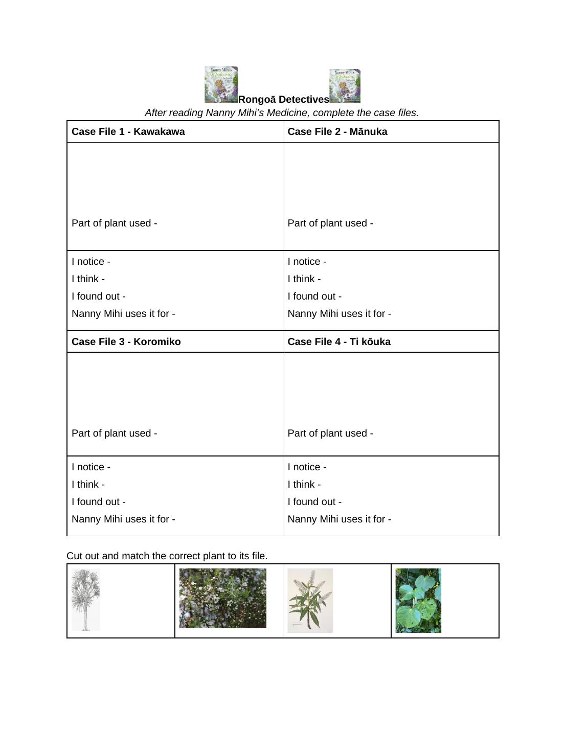 Rongoā Māori Medicine Mini Unit